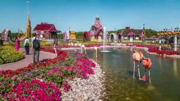 Dubai Wundergarten Zeitraffer mit über 45 Millionen Blumen an einem sonnigen Tag, Vereinigte Arabische Emirate — Stockvideo