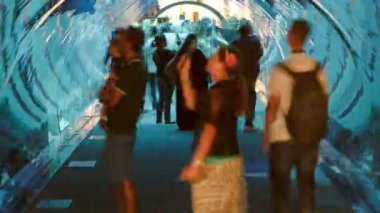 Mall Akvaryumu - Dubai, Birleşik Arap Emirlikleri timelapse dünyanın en büyük alışveriş merkezi