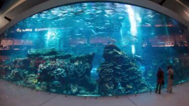 Mall Akvaryumu - Dubai, Birleşik Arap Emirlikleri timelapse dünyanın en büyük alışveriş merkezi