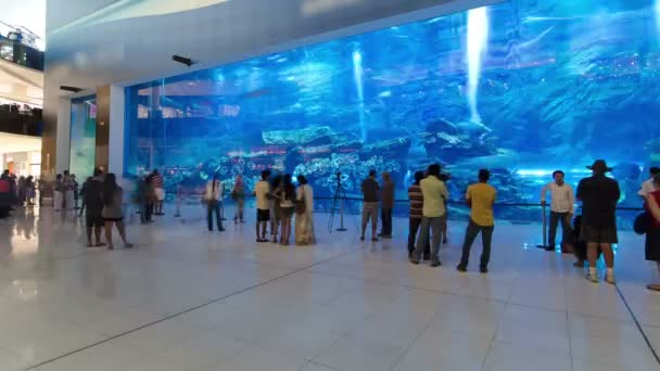 Acuario en Mall - centro comercial más grande del mundo en Dubai, Emiratos Árabes Unidos timelapse hyperlapse — Vídeo de stock