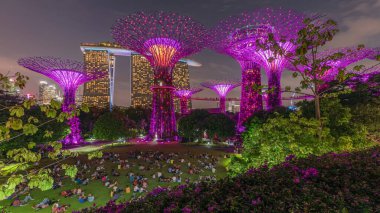 Singapur körfezi yakınlarındaki Garden 'da gün batımından sonraki fütüristik hava görüntüsü. İzleyicileri olan yeşil çimenler. Supertree Groveis 'deki gece lambası gösterisi Marina Körfezi' nin ilgi odağı.