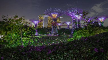Singapur körfezi yakınlarındaki Garden 'da gün batımından sonraki fütüristik hava görüntüsü. İzleyicileri olan yeşil çimenler. Supertree Groveis 'deki gece lambası gösterisi Marina Körfezi' nin ana turistik merkezi.
