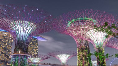 Singapur körfezi gecesinde Garden 'da gün batımından sonra muhteşem aydınlanmanın fütüristik hava görüntüsü. Supertree Groveis 'deki gece lambası gösterisi Marina Körfezi' nin ana turistik merkezi.