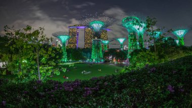 Singapur körfezi yakınlarındaki Garden 'da gün batımından sonraki fütüristik hava görüntüsü. İzleyicileri olan yeşil çimenler. Supertree Groveis 'deki gece lambası gösterisi Marina Körfezi' nin ana turistik merkezi.