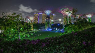 Singapur körfezi yakınlarındaki Garden 'da gün batımından sonraki fütüristik hava görüntüsü. İzleyicileri olan yeşil çimenler. Supertree Groveis 'deki gece lambası gösterisi Marina Körfezi' nin ana turistik merkezi.