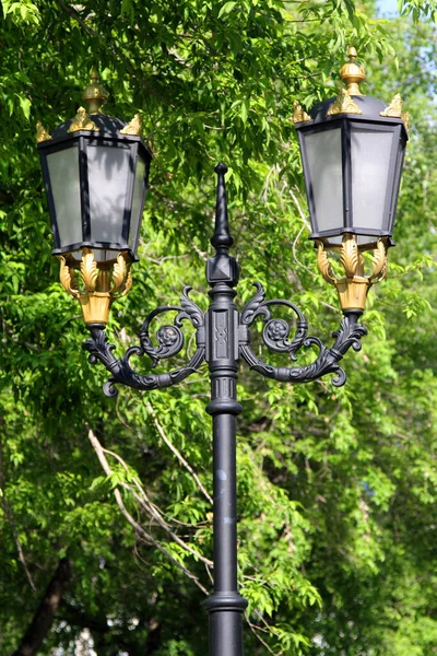 Güneş ışınlarındaki ağaçların arka planında sokak lambası