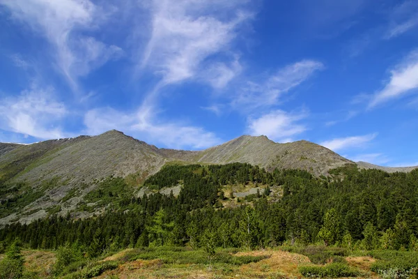 Dağ manzarası içinde Batı Sayan Dağları