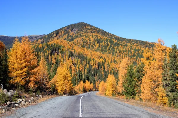 Yol içinde Batı Sayan Dağları Güz