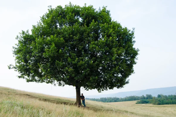 Big tree on hill and teenager sit near listen to music in nature