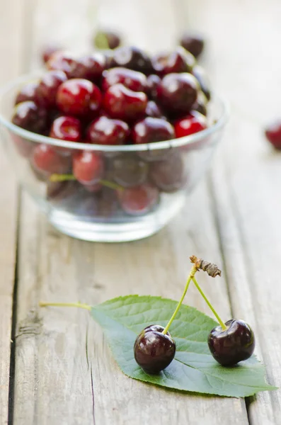 2 cherries on leaf and more cherries in bowl — Stock Photo, Image