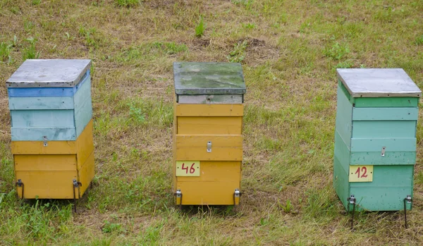 3 beehives on green grass — Stock Photo, Image