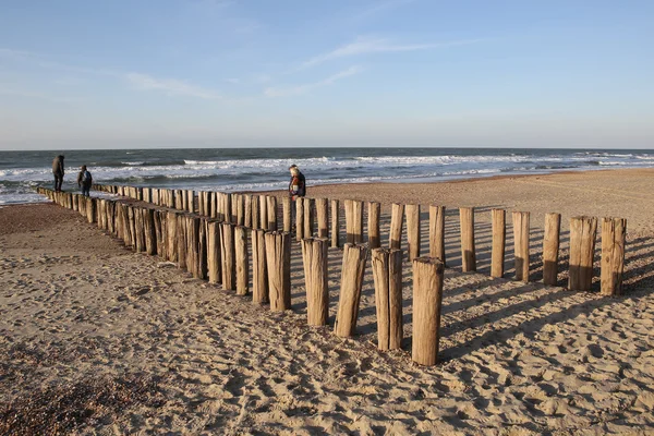 Domburg plaj manzara — Stok fotoğraf