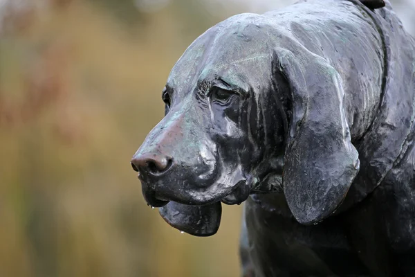 Statue de chien en bronze — Photo