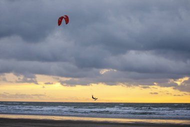 Hollanda 'daki Ijmuiden plajında uçurtma sörfçüsü.