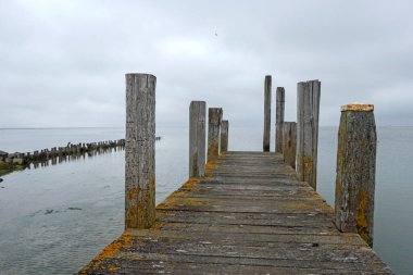 Hollanda 'nın Wadden Adası' ndaki De Cocksdorp limanında bulunan bir iskelenin ahşap direkleri ve kalasları vardı..