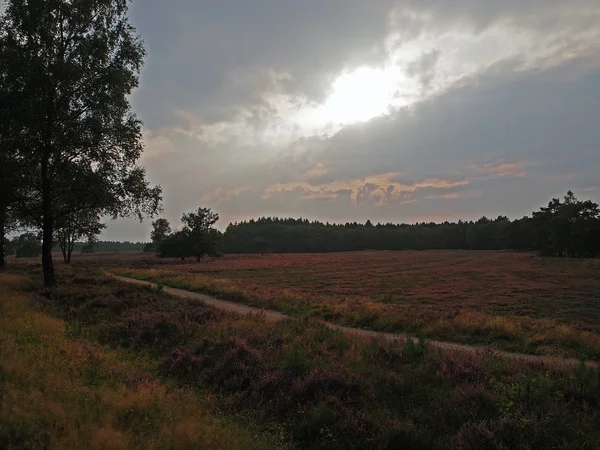 Feldlandschaft mit Pfad — Stockfoto