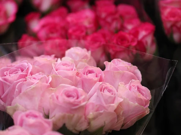 Bukett rosor till salu — Stockfoto