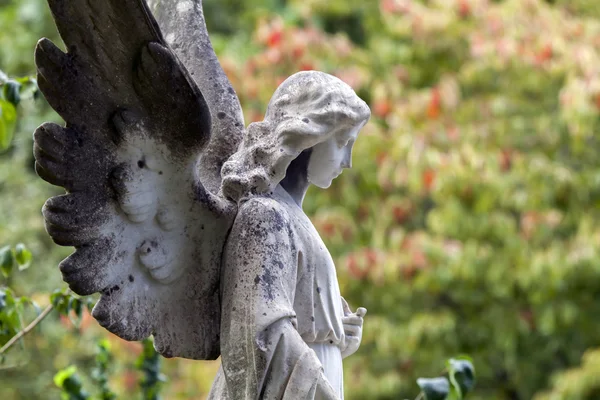 Angel statue — Stock Photo, Image