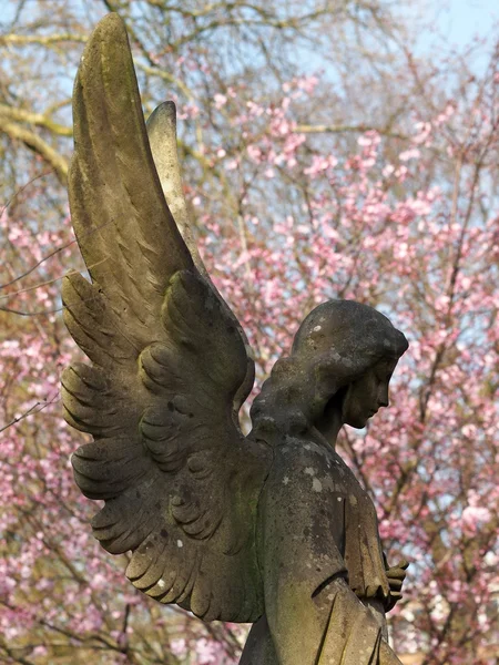 Statua di un angelo — Foto Stock