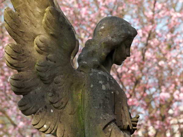 Standbeeld van een engel — Stockfoto