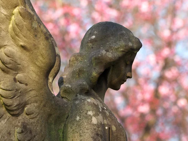 Статуя ангела — стоковое фото
