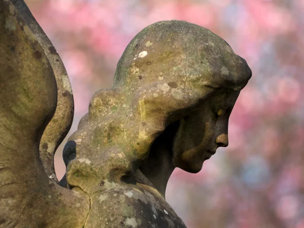 Статуя ангела — стокове фото