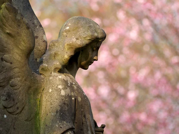 Estátua de um anjo — Fotografia de Stock