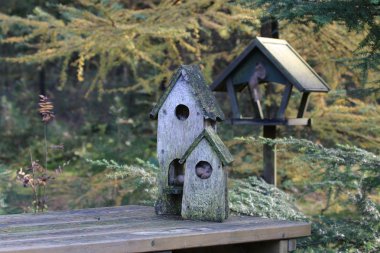 eski yıpranmış kuş evleri