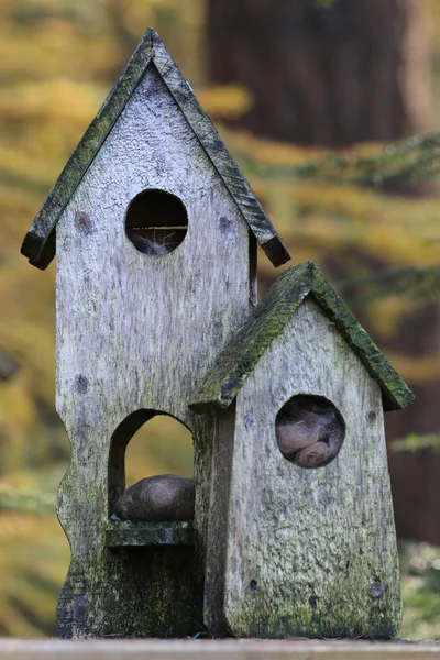 Casas de pássaros velhas intemperadas — Fotografia de Stock