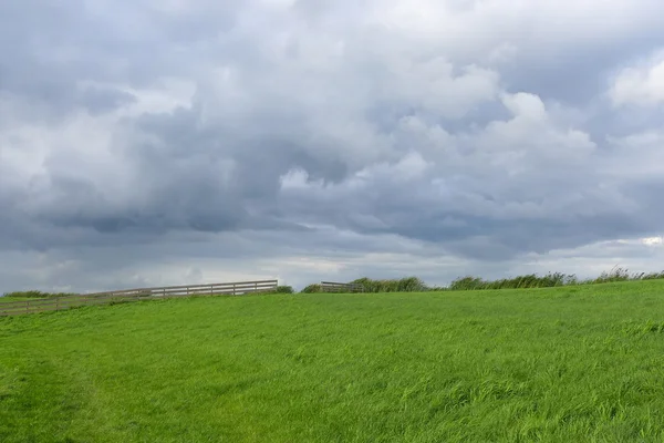 Zielone pole i chmurne niebo — Zdjęcie stockowe