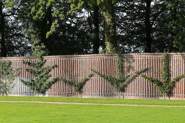 Pared del crankle de la arruga — Foto de Stock