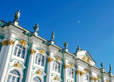 Nilüfer çiçeği kara sularda