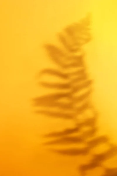 Ombra foglia tropicale su sfondo arancione — Foto Stock