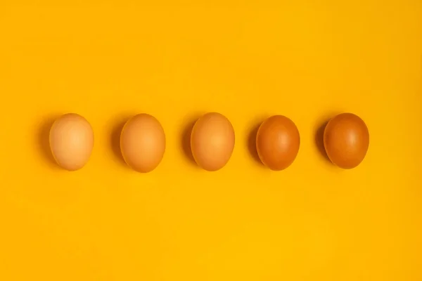Sarı arka planda kahverengi tavuk paskalya yumurtası.