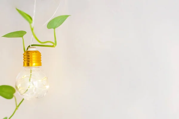 Light bulb with green plant on light beige background. Idea of interior decorative. Vintage lighting decor with leaves. Front view with copy space