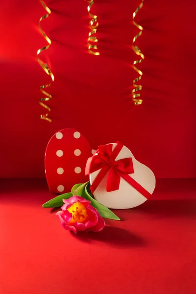 Δύο Κουτί Δώρου Σχήμα Καρδιάς Φρέσκια Τουλίπα Και Χρυσές Κορδέλες — Φωτογραφία Αρχείου