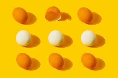 Tavuk taze ve haşlanmış yumurta sarısı desenli