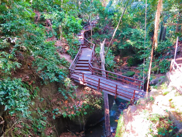 Escaliers en bois dans la forêt de singes sacrés à Bali, Indonésie — Photo