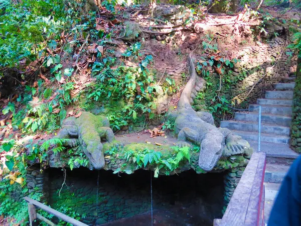 Sacred monkey forest w Bali monitor jaszczurka statua, Indonezja — Zdjęcie stockowe