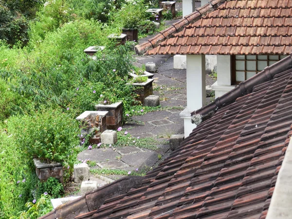 Bedugul, Bali, Endonezya, terk edilmiş bir otel