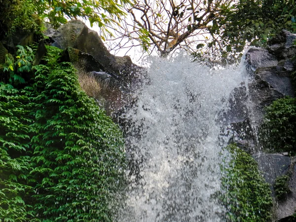 美しいギッギッの滝 — ストック写真