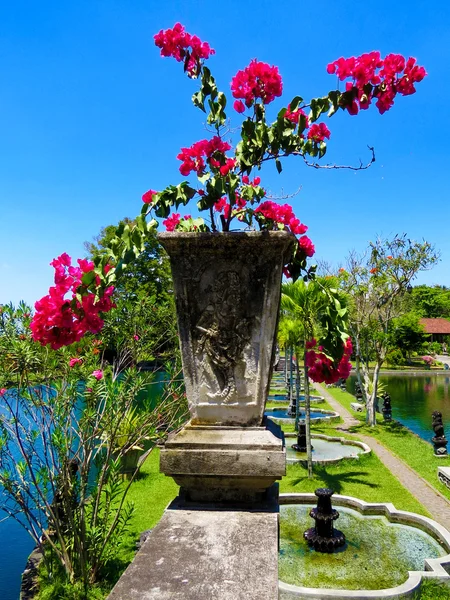 Hermosas flores en el puente en el lago en el parque del palacio Tirta Gangga —  Fotos de Stock