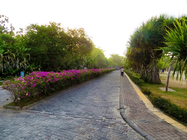 Nusa Dua bahçesi, Bali