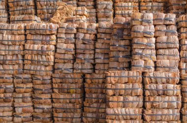 Hindistan cevizi kabuğu balya.