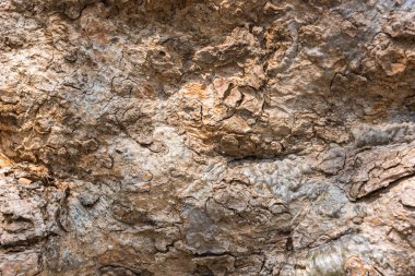 Ahşap doku. Seçici odak.