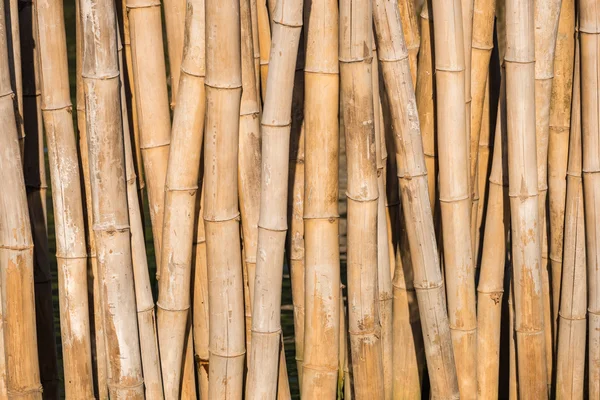 Barreira de bambu para proteção onda litoral . — Fotografia de Stock