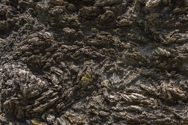 Textura da rocha Calc-silicato (Rocha metamórfica ). — Fotografia de Stock