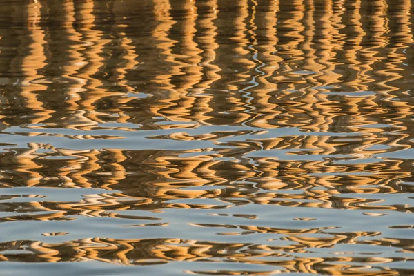 Reflection of bamboo on a water. Abstract Background.