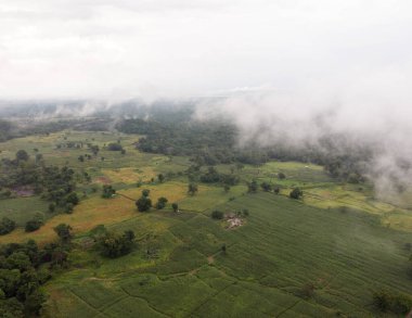 Tropikal yağmur ormanlarında yüksek bir yolun kuş bakışı görüntüsü.