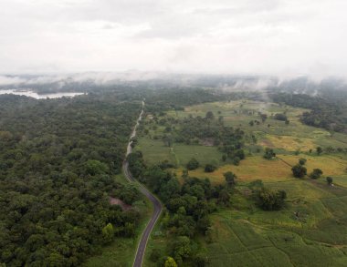 Tropikal yağmur ormanlarında yüksek bir yolun kuş bakışı görüntüsü.